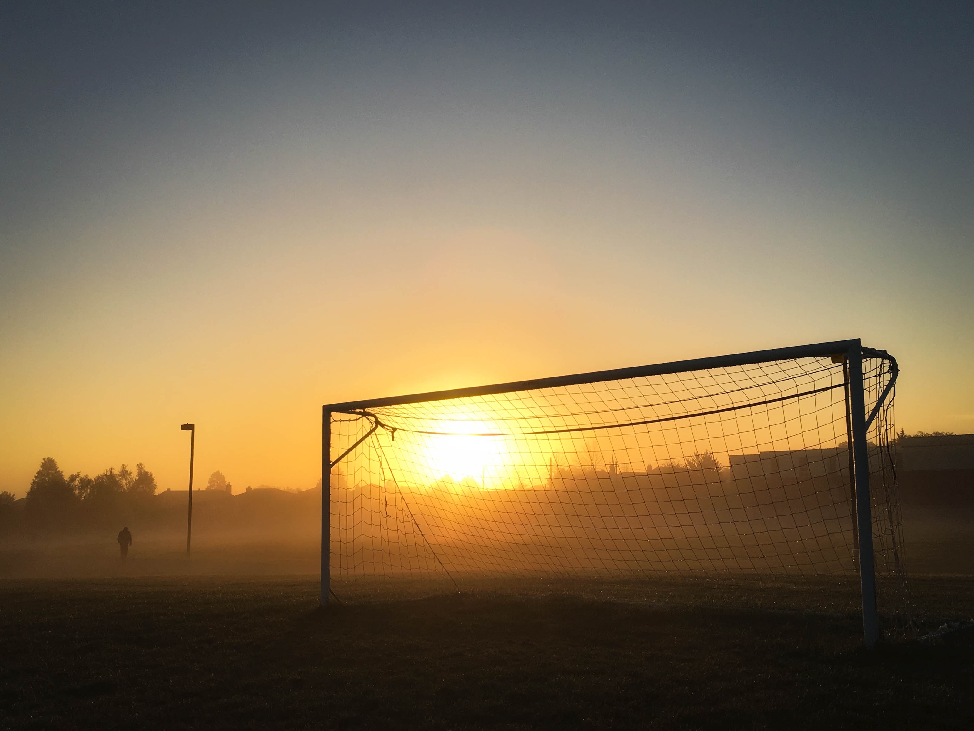 dawn-field-fog-149356
